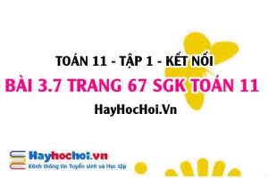 Giải bài 3.7 trang 67 Toán 11 tập 1 SGK Kết nối tri thức